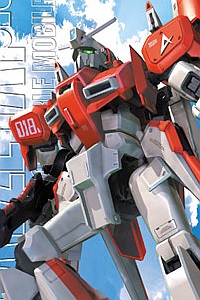 Bandai Gundam Sentinel MG 1/100 MSZ-006A1 Zeta Plus A1 Test Colour