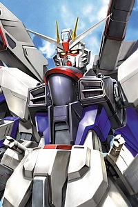 Bandai Gundam SEED MG 1/100 ZGMF-X10A Freedom Gundam