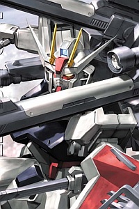 Bandai Gundam SEED MG 1/100 GAT-X105+P202QX Strike Gundam + IWSP