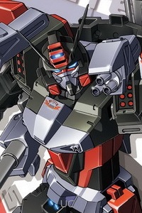 Bandai Gundam SEED 1/100 LH-GAT-X103 Hail Buster Gundam