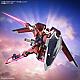 Gundam SEED HG 1/144 STTS-808 Immortal Justice Gundam gallery thumbnail