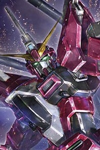 Gundam SEED HG 1/144 ZGMF-X191M2 Infinite Justice Gundam TypeII