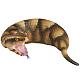 KAIYODO Sofubi Toy Box 015A Tsuchinoko Soft Vinyl Figure gallery thumbnail