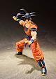 BANDAI SPIRITS S.H.Figuarts Son Goku -Chikyuu Sodachi no Saiyan- gallery thumbnail