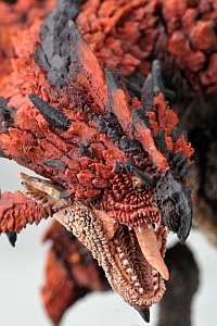 Capcom Figure Builder Creator's Model Monster Hunter Fire Dragon Rathalos Reprint Edition Plastic Figure (8th Production Run)