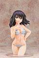 FOTS JAPAN Strike the Blood Himeragi Yukina Cloth Swimsuit 1/5 PMMA Figure gallery thumbnail