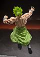 BANDAI SPIRITS S.H.Figuarts Super Saiyan Broly Full Power gallery thumbnail