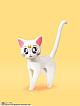 BANDAI SPIRITS S.H.Figuarts Sailor Venus -Animation Color Edition- gallery thumbnail