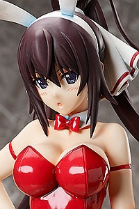 FREEing Infinite Stratos Shinonono Houki Nama-ashi Bunny Ver. 1/4 PVC Figure