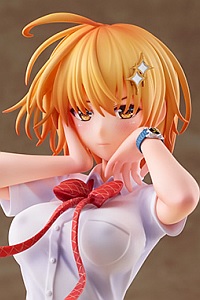 ANIPLEX Dokyu Hentai EXEROS Hoshino Kirara 1/7 PVC Figure