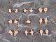 GOOD SMILE COMPANY (GSC) Nendoroid Doll Hand Parts Set 02 (cream) gallery thumbnail