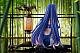 Phat! Company Phatism GRILS' FRONTLINE DP-12 Kagetsu Yokou-tou 1/6 PVC Figure gallery thumbnail