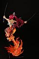 ORCATOYS FAIRY TAIL Erza Scarlet Samurai -Kouen Banjou- ver.Red 1/6 PVC Figure gallery thumbnail