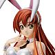 FREEing Code Geass: Lelouch of the Rebellion Shirley Fenette Nama-ashi Bunny Ver. 1/4 PVC Figure gallery thumbnail