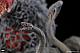 PLEX Gekizou EX Godzilla vs. Biollante Biollante PVC Figure gallery thumbnail