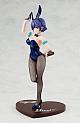 KADOKAWA KDcolle Kakkou no Iinazuke Segawa Hiro Bunny Girl Ver. 1/7 PVC Figure gallery thumbnail