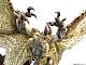 Capcom Figure Builder Creator's Model Tenkai Ryu Shagaru Magala Plastic Figue gallery thumbnail