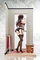 HAKOIRI MUSUME Kanojo, Okarishimasu Mizuhara Chizuru See-through Lingerie Figure 1/6 Plastic Figure gallery thumbnail