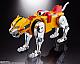 BANDAI SPIRITS Soul of Chogokin GX-71SP Beast King GoLion / VOLTRON CHOGOKIN 50th Ver. gallery thumbnail