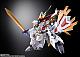 BANDAI SPIRITS METAL BUILD DRAGON SCALE Ryuoumaru  gallery thumbnail