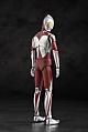 EVOLUTION TOY HAF (Hero Action Figure) Shin Ultraman Action Figure gallery thumbnail