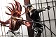 KOTOBUKIYA Rurouni Kenshin -Meji Kenkaku Roman Tan- ARTFX J Saito Hajime 1/8 Plastic Figure gallery thumbnail
