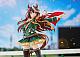 Claynel Umamusume Pretty Derby Symboli Rudolf Shoubu-fuku Ver. 1/7 Plastic Figure gallery thumbnail