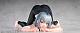 FOTS JAPAN Gym de Yoku Au Oneesan Niina 1/6 PMMA Figure gallery thumbnail
