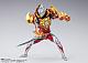 BANDAI SPIRITS S.H.Figuarts Solis Armor gallery thumbnail