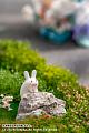 EUSUN Ageru. Illustrated by Sencha 1/6 Plastic Figure gallery thumbnail