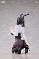 AniMester Dongtan Bunny Ver. 1/6 Plastic Figure gallery thumbnail