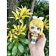 MegaHouse LookUp Kagamine Ren Plastic Figure gallery thumbnail