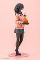 KOTOBUKIYA Hibi wa Sugiredo Gohan Umashi Kawai Mako 1/7 Plastic Figure gallery thumbnail