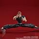 DIG DIGACTION Hanma Baki Hanma Yujiro Action Figure gallery thumbnail