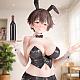 FOTS JAPAN Prince-girl no Omotenashi Bunny Kazami Kanade 1/6 PMMA Figure gallery thumbnail