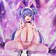 FOTS JAPAN Idol Akushu-kai Yuzuki Rino 1/6 PMMA Figure gallery thumbnail