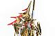 Our Treasure Five Star Story Teiqi MAGNAPALACE The Knight of Gold 1/144 Plastic Kit gallery thumbnail