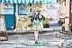 RIBOSE RISE UP+ Houkai: Star Rail Chibi-neko Series Figure Hotaru Ver. Plastic Figure gallery thumbnail