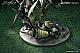 Myethos Arknights Kal'tsit Esperanta 1/7 Plastic Figure gallery thumbnail