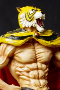 dive Overwhelmed Model Tiger Mask Real Figure