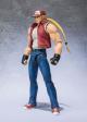 BANDAI SPIRITS D-Arts Terry Bogard gallery thumbnail