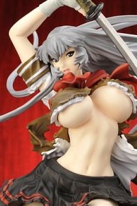 Aizu Project Ikki Tousen XTREME XECUTOR Choun Shiryu Eyes Open Ver. Miyazawa Model Distribution Limited 1/6 Cold Cast Figure