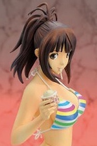 Aizu Project Ikki Tousen Yagyu Mitsuyoshi Repaint Ver. 1/6 Polystone Figure