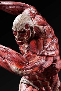 MAX LIMITED ULTIMATE MODELING COLLECTION FIGURE THE COLOSSUS TITAN