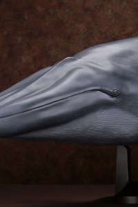 KAIYODO Mega Soft Vinyl MSA-004 Blue Whale | Figures & Plastic