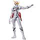 SEN-TI-NEL Tatsunoko Heroes Fighting Gear Neo-human Casshan Action Figure gallery thumbnail