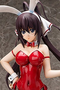 FREEing Infinite Stratos Shinonono Houki Bunny Ver. 1/4 PVC Figure