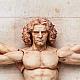 FREEing Table Museum figma Vitruvian Man gallery thumbnail
