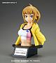 BANDAI SPIRITS Figure-rise Bust Gundam Build Fighters TRY Hoshino Fumina Plastic Kit gallery thumbnail