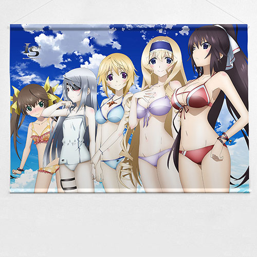 Infinite Stratos B2 Tapestry from Curtain Damashii